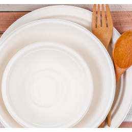 Pratos descartáveis, pratos em cana de açucar, festas, eventos, romarias, catering, jantares