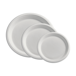 Pratos em cana de açucar com 26cm, festas, eventos, romaria, catering