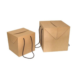 Caixa cubo, Cabaz, cabazes, prendas, com alça, com asa, caixa para presentes 20x20x20cm