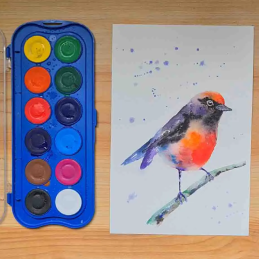 aguarelas, aquarelas, giotto, pintar, pintura, desenho, artes, escola, escolar