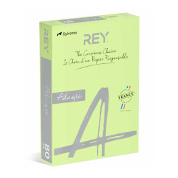 Resma de papel colorido, papel de cor, 80g, Papel Fotocópia A4, Adagio, Papel de cor para impressão, Pastel, Verde